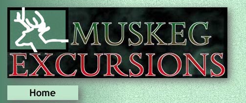 Muskeg Excursions home