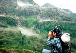 Scanning the high country for goats