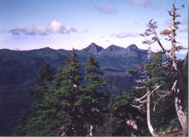 Harris Ridge....Prince of Wales Island on a beautiful summer day