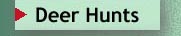 Deer hunts
