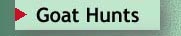 Goat hunts